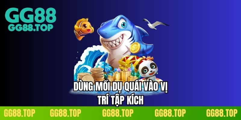 Dùng mồi dụ quái vào vị trí tập kích